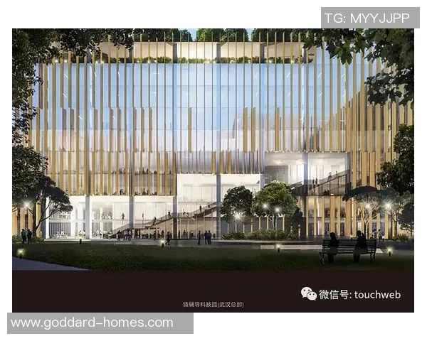 武汉乒乓球队的运营模式与发展策略深度解析