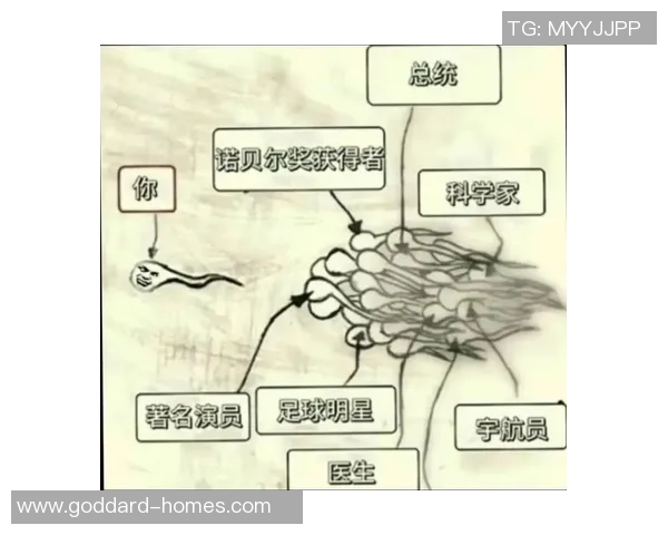 足球明星的幸运物揭秘你不知道的秘密与故事