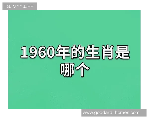 足球明星谁属鼠揭秘他们的生肖与职业生涯的精彩交织