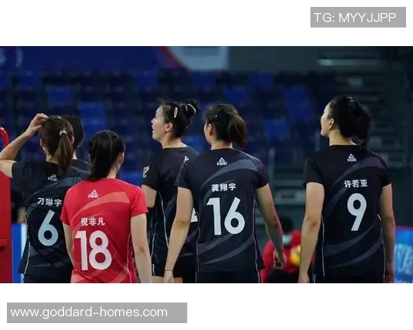 最新排球速度TOP10：武汉排球队领跑