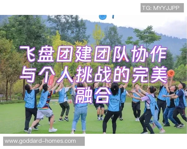 数据分析：广州飞盘队的团队协作表现