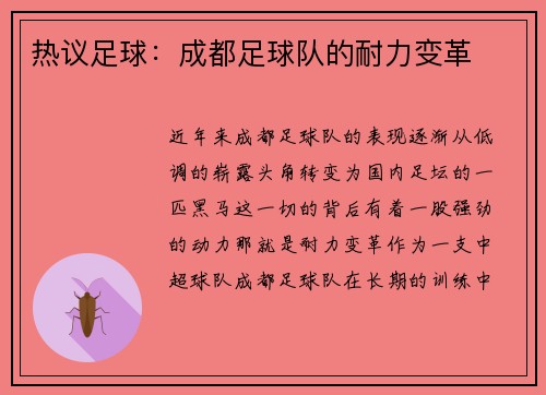 热议足球：成都足球队的耐力变革