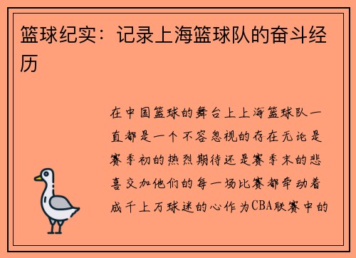 篮球纪实：记录上海篮球队的奋斗经历