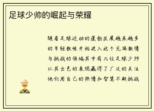 足球少帅的崛起与荣耀