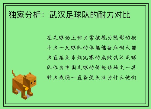 独家分析：武汉足球队的耐力对比