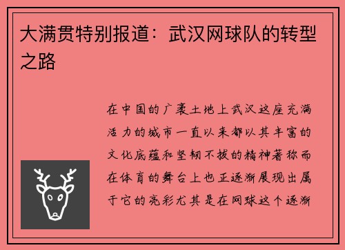 大满贯特别报道：武汉网球队的转型之路